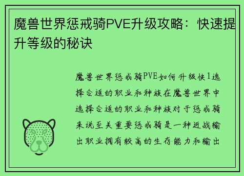 魔兽世界惩戒骑PVE升级攻略：快速提升等级的秘诀